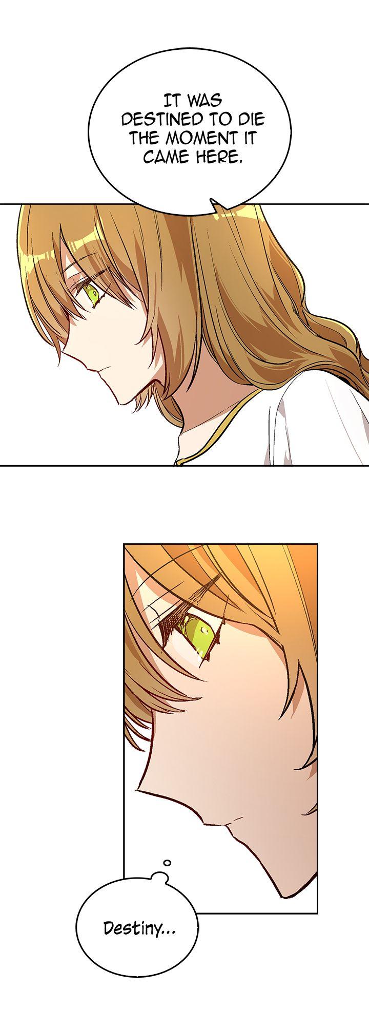 The Reason Why Raeliana Ended up at the Duke's Mansion Chapter 36 page 26 - Chapter 36