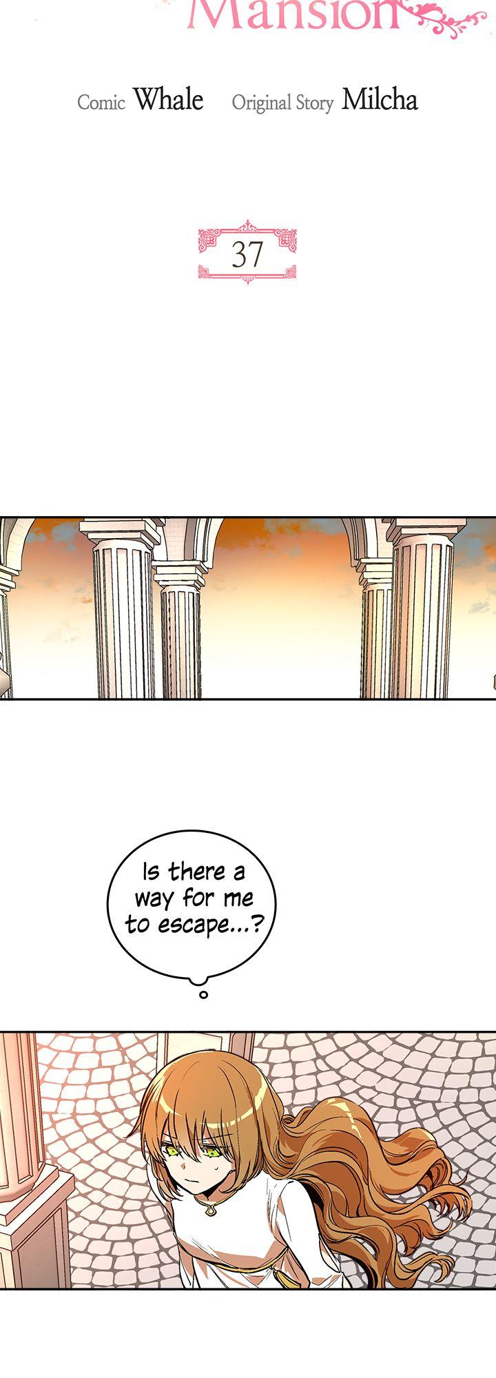 The Reason Why Raeliana Ended up at the Duke's Mansion Chapter 37 page 3 - Chapter 37