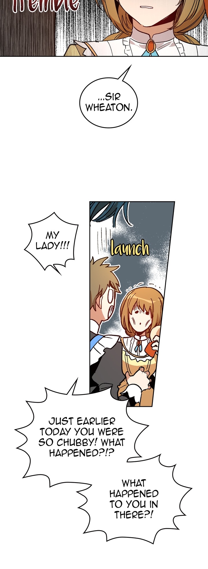 The Reason Why Raeliana Ended up at the Duke's Mansion Chapter 56 page 22 - Chapter 56