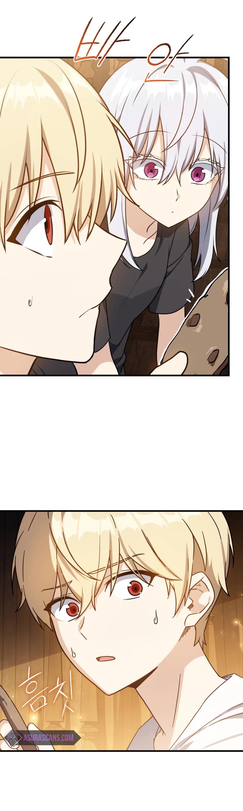 The Reincarnated Assassin is a Genius Swordsman Chapter 11 page 25 - Chapter 11