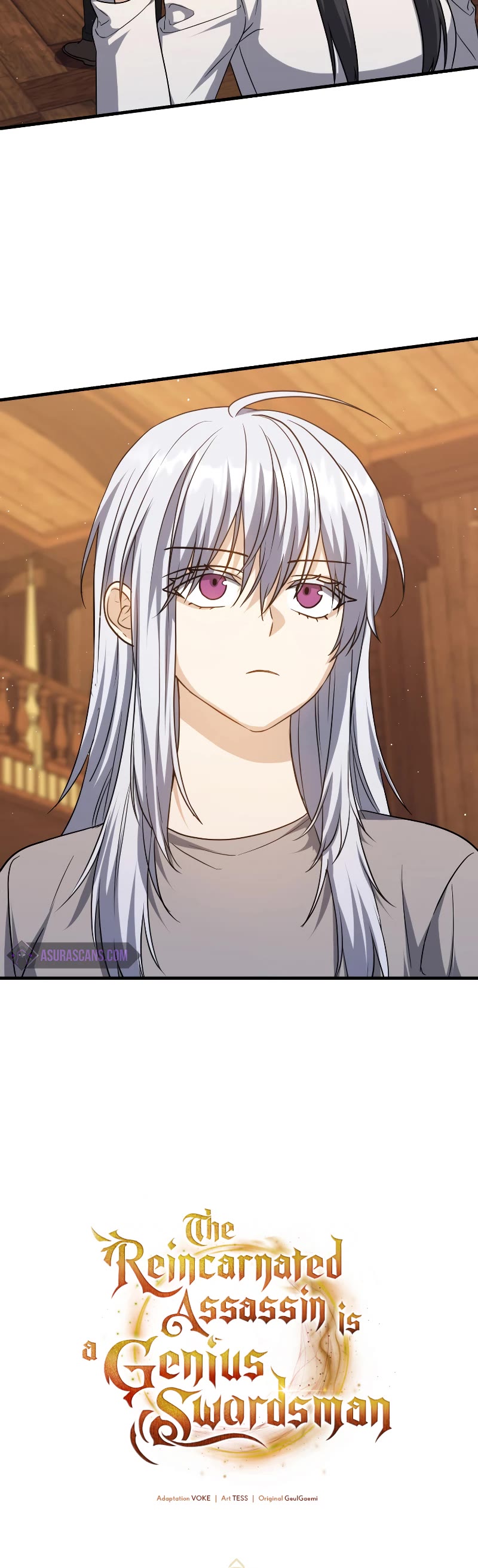 The Reincarnated Assassin is a Genius Swordsman Chapter 19 page 20 - Chapter 19