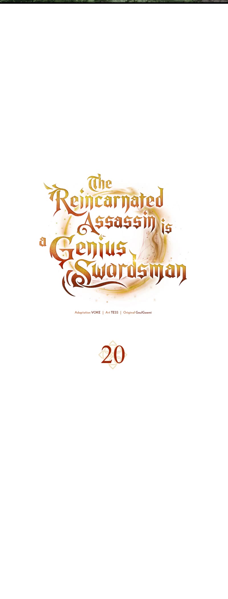 The Reincarnated Assassin is a Genius Swordsman Chapter 20 page 26 - Chapter 20