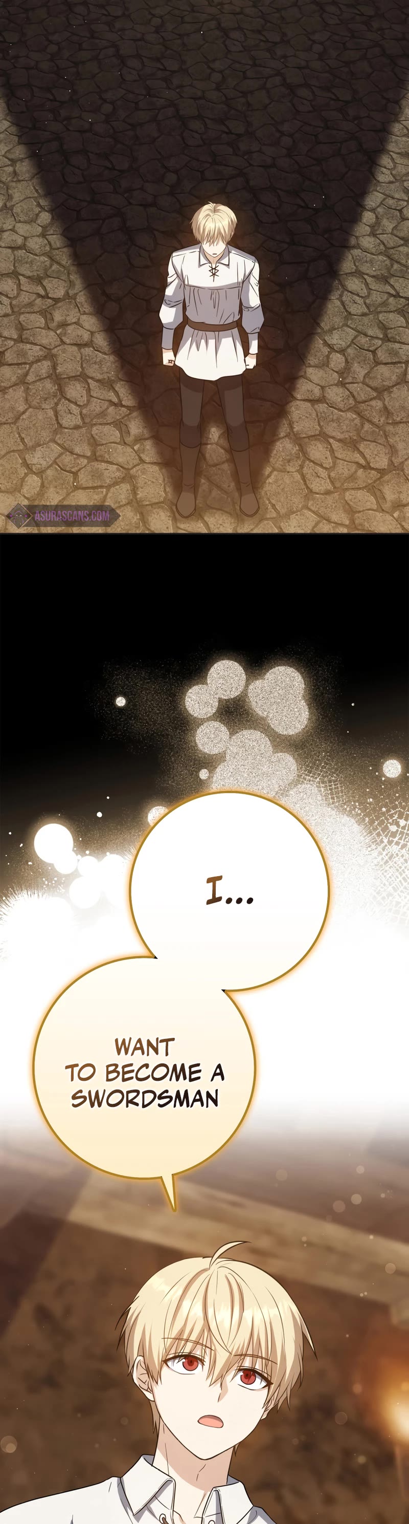 The Reincarnated Assassin is a Genius Swordsman Chapter 22 page 25 - Chapter 22