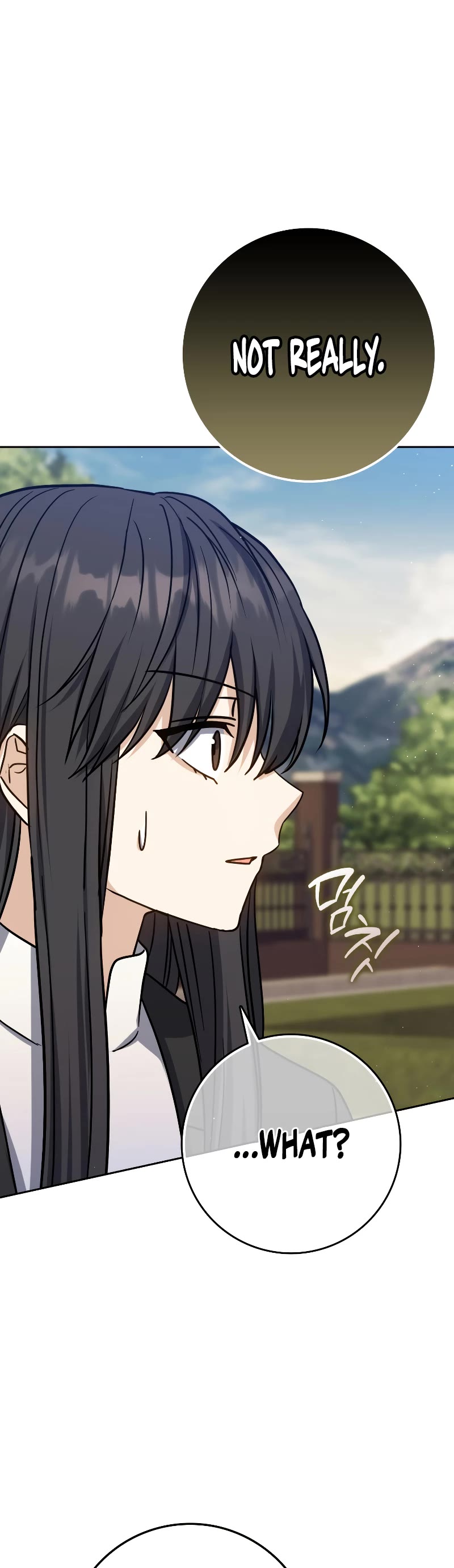 The Reincarnated Assassin is a Genius Swordsman Chapter 25 page 28 - Chapter 25