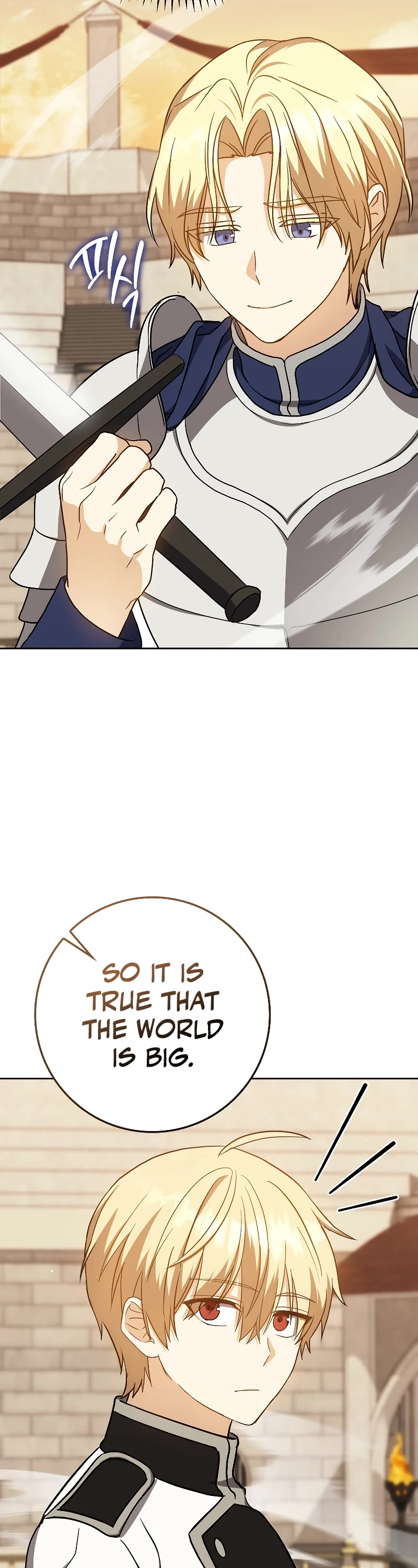 The Reincarnated Assassin is a Genius Swordsman Chapter 29 page 26 - Chapter 29