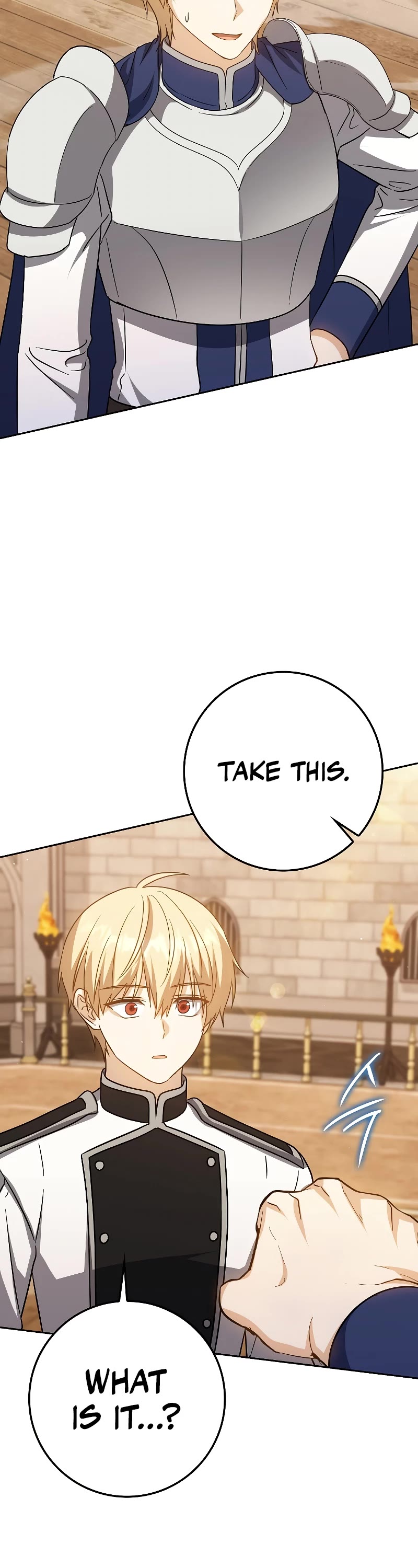 The Reincarnated Assassin is a Genius Swordsman Chapter 29 page 31 - Chapter 29