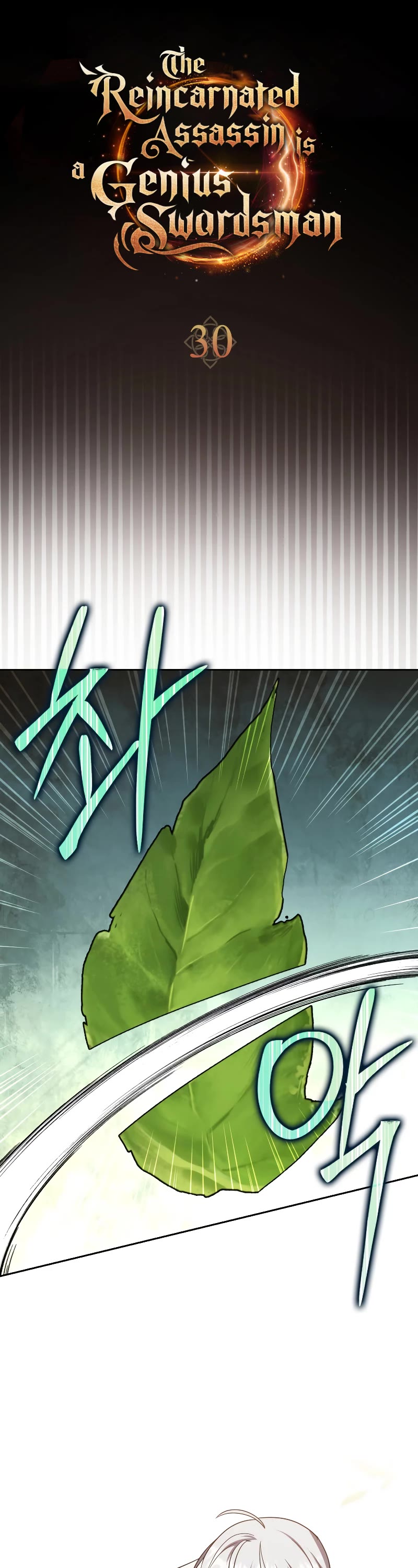 The Reincarnated Assassin is a Genius Swordsman Chapter 30 page 12 - Chapter 30