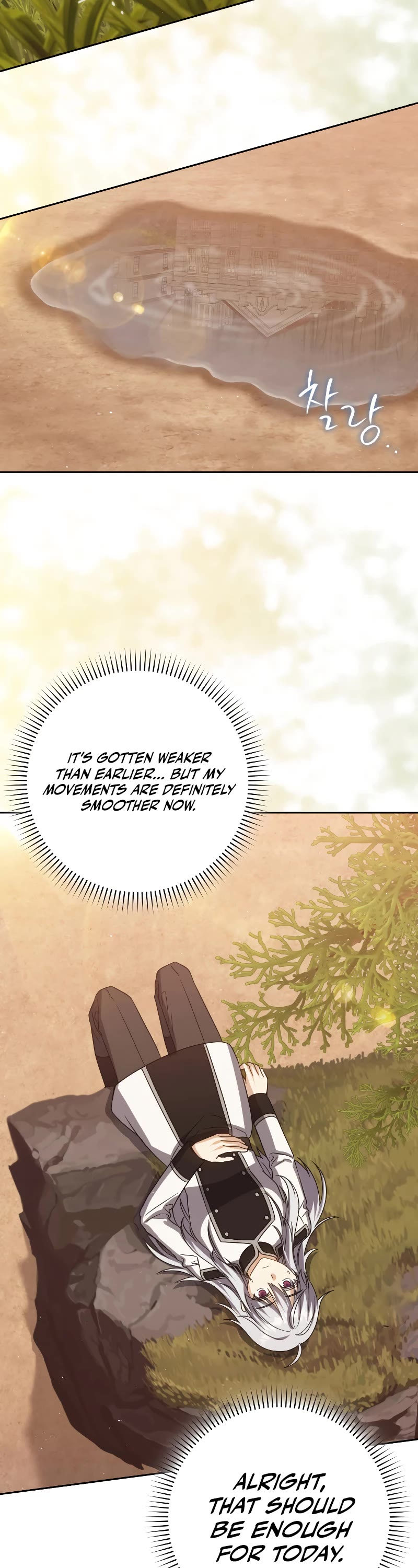 The Reincarnated Assassin is a Genius Swordsman Chapter 30 page 19 - Chapter 30