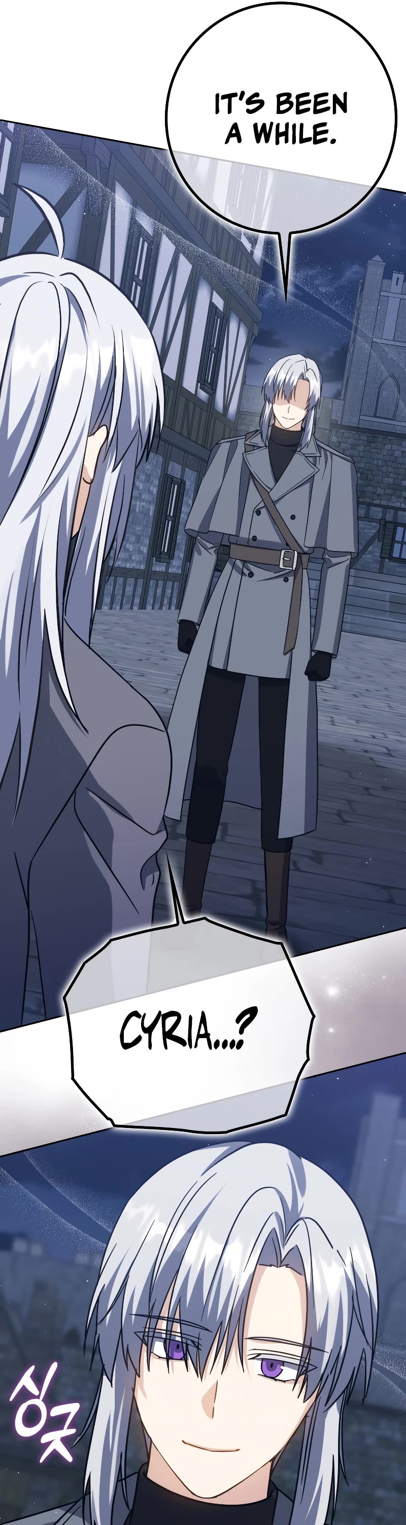 The Reincarnated Assassin is a Genius Swordsman Chapter 30 page 27 - Chapter 30