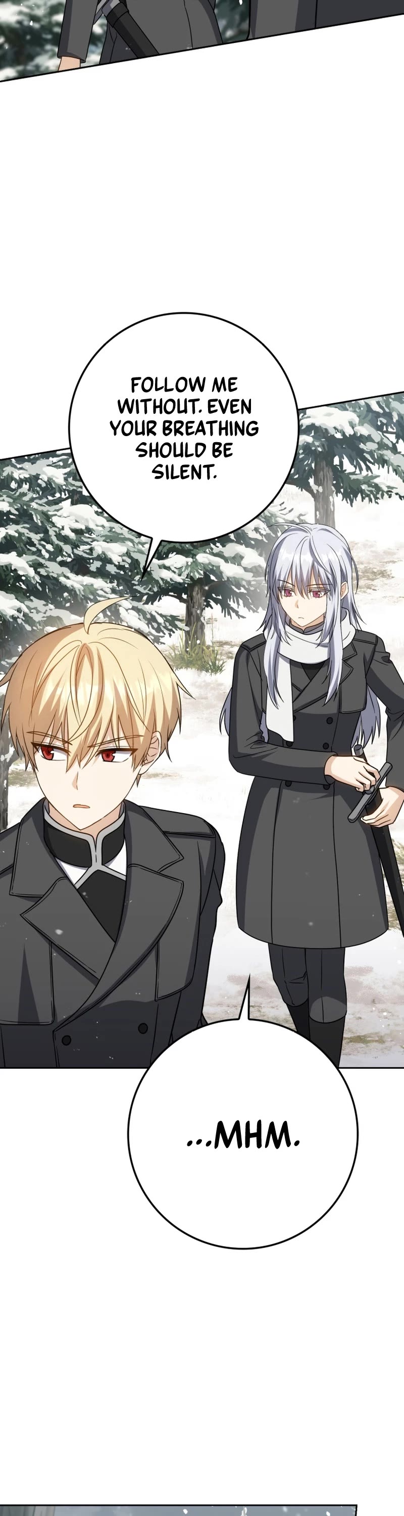 The Reincarnated Assassin is a Genius Swordsman Chapter 32 page 27 - Chapter 32