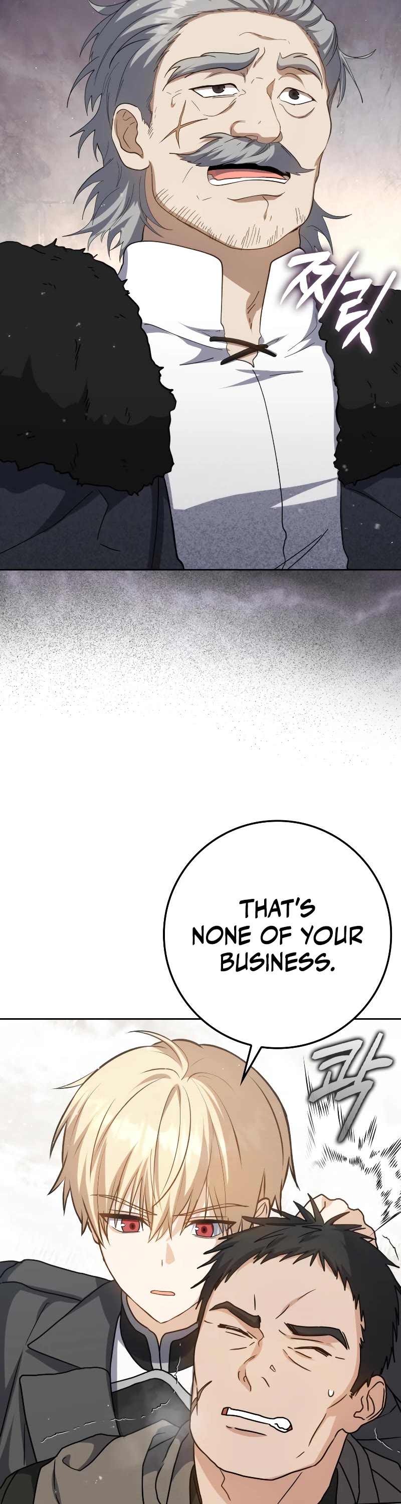 The Reincarnated Assassin is a Genius Swordsman Chapter 33 page 21 - Chapter 33