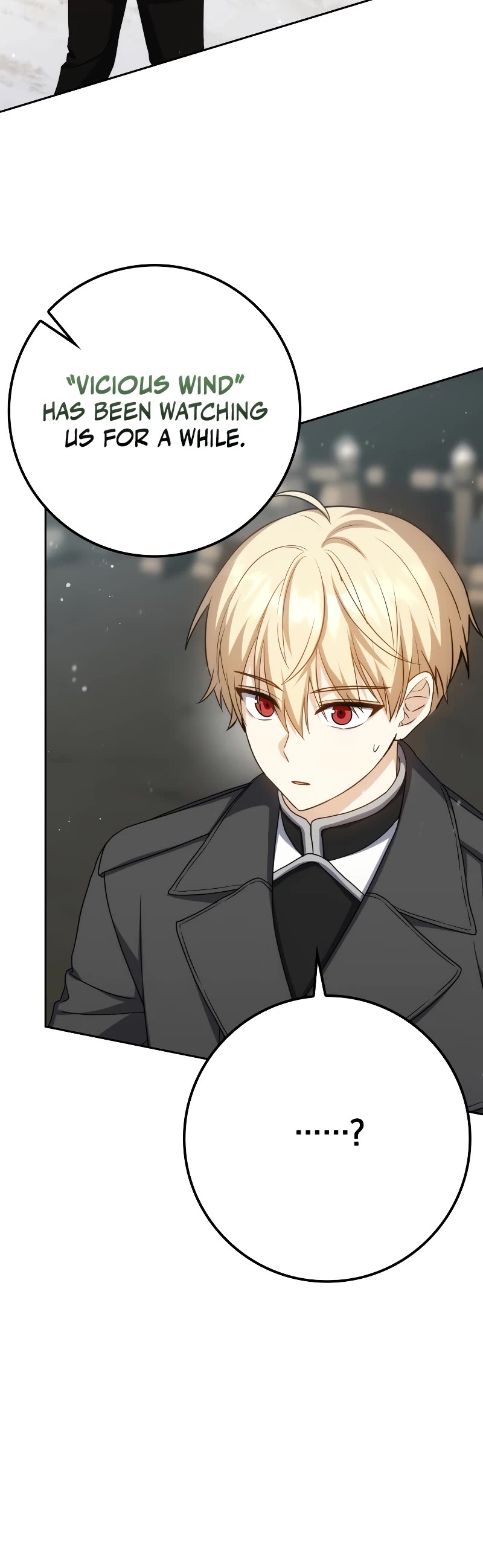 The Reincarnated Assassin is a Genius Swordsman Chapter 35 page 13 - Chapter 35