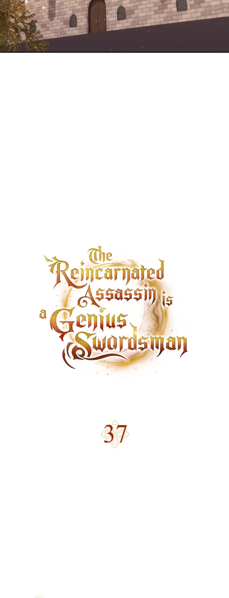 The Reincarnated Assassin is a Genius Swordsman Chapter 37 page 13 - Chapter 37