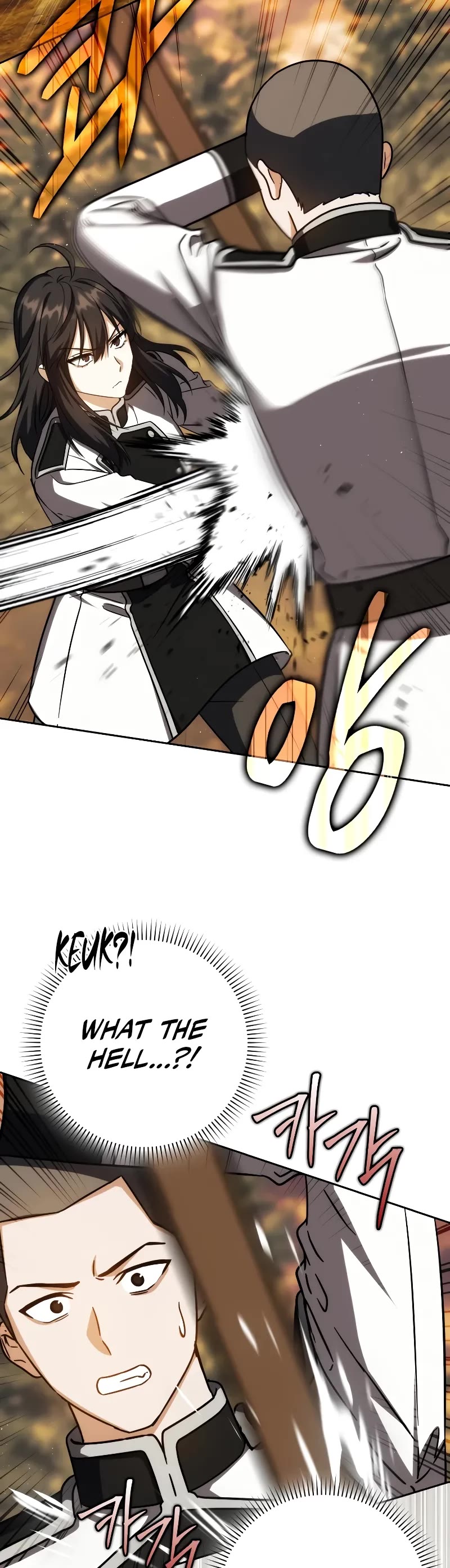The Reincarnated Assassin is a Genius Swordsman Chapter 39 page 8 - Chapter 39