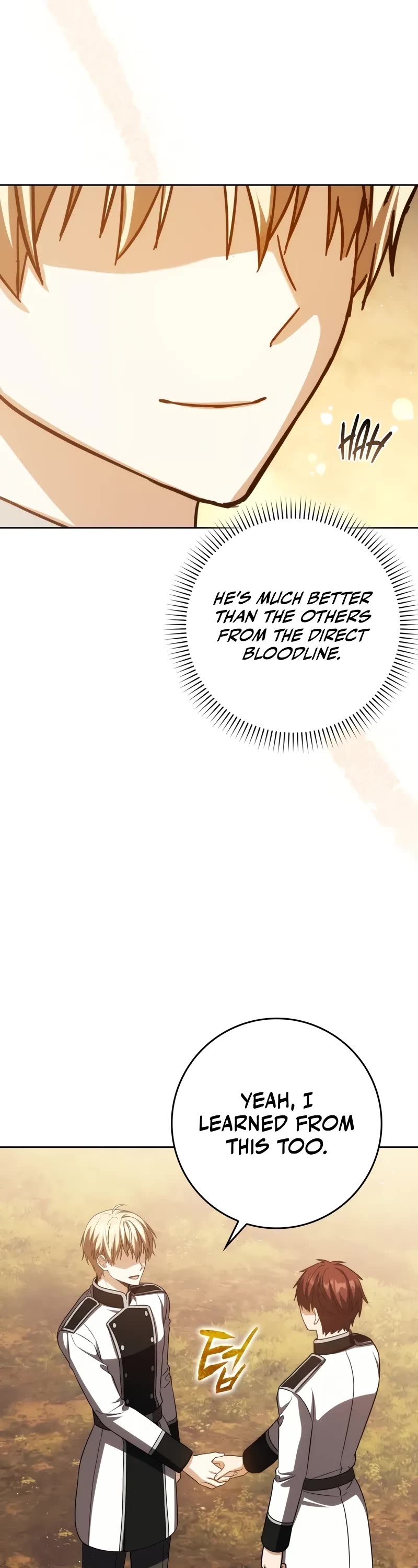 The Reincarnated Assassin is a Genius Swordsman Chapter 40 page 20 - Chapter 40