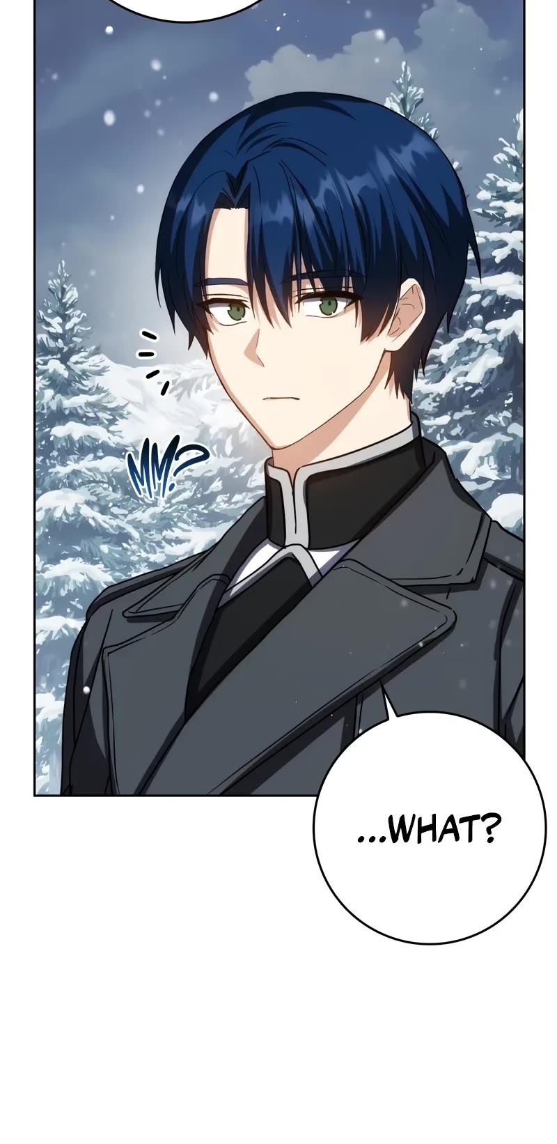 The Reincarnated Assassin is a Genius Swordsman Chapter 40 page 29 - Chapter 40