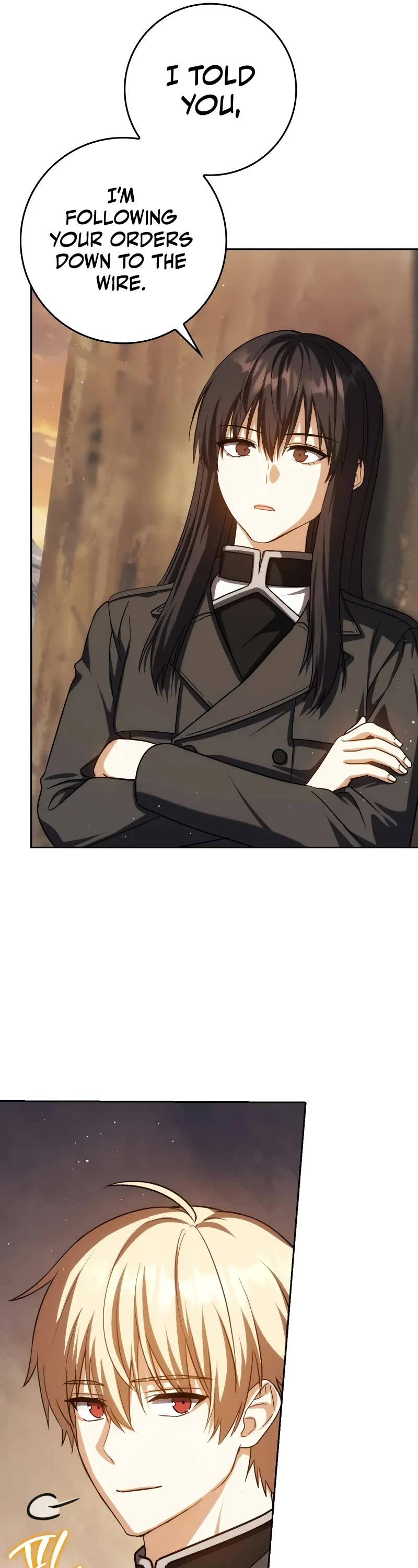 The Reincarnated Assassin is a Genius Swordsman Chapter 43 page 12 - Chapter 43