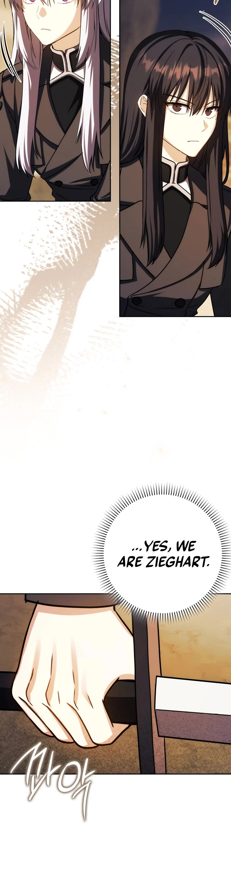 The Reincarnated Assassin is a Genius Swordsman Chapter 48 page 11 - Chapter 48