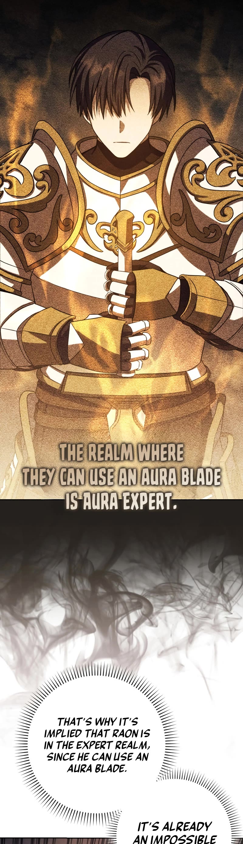 The Reincarnated Assassin is a Genius Swordsman Chapter 48 page 4 - Chapter 48