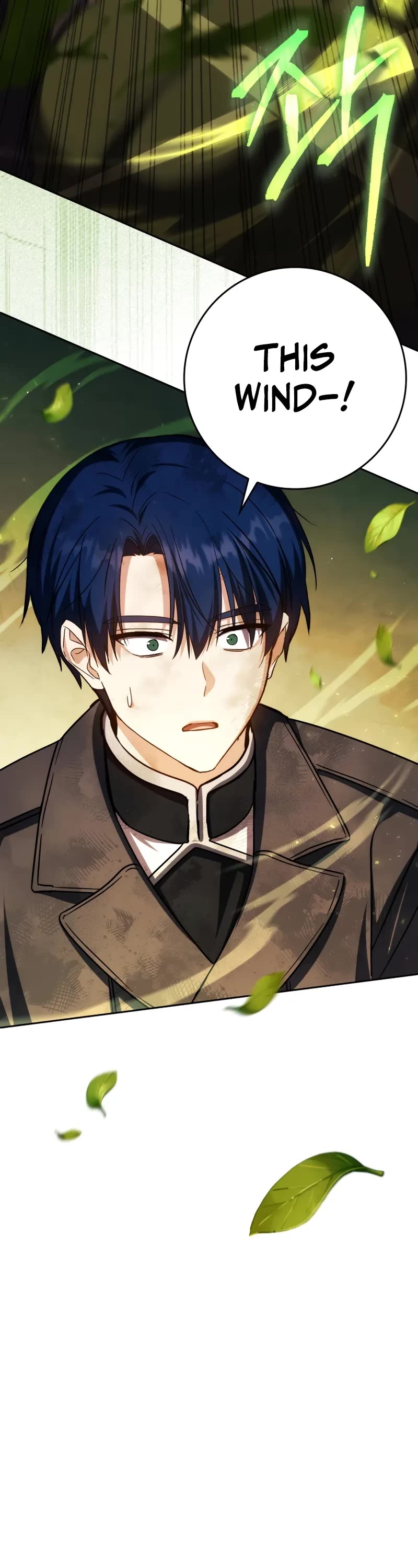 The Reincarnated Assassin is a Genius Swordsman Chapter 49 page 22 - Chapter 49