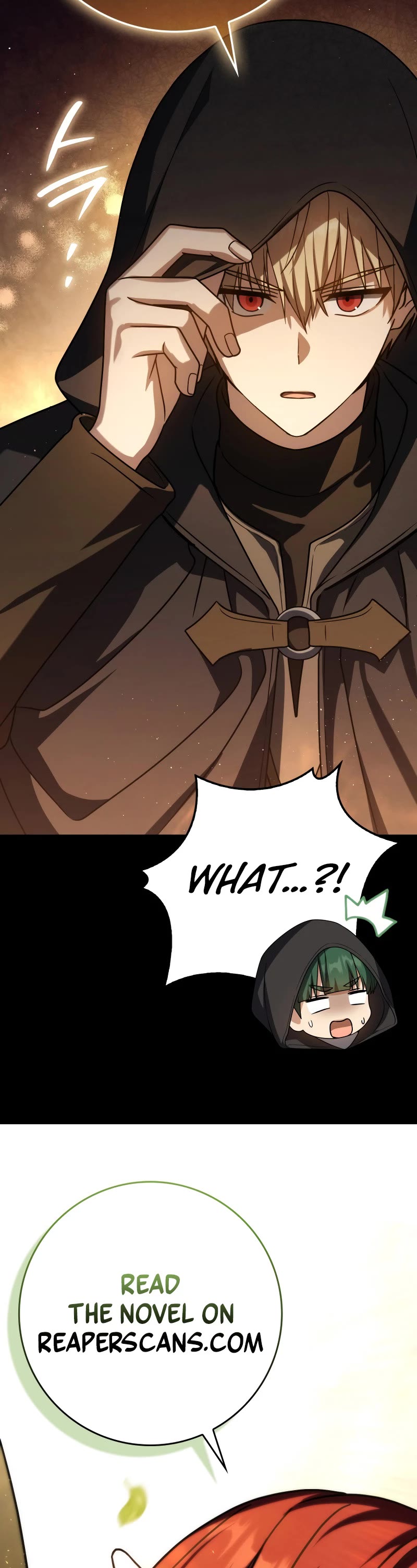 The Reincarnated Assassin is a Genius Swordsman Chapter 58 page 65 - Chapter 58