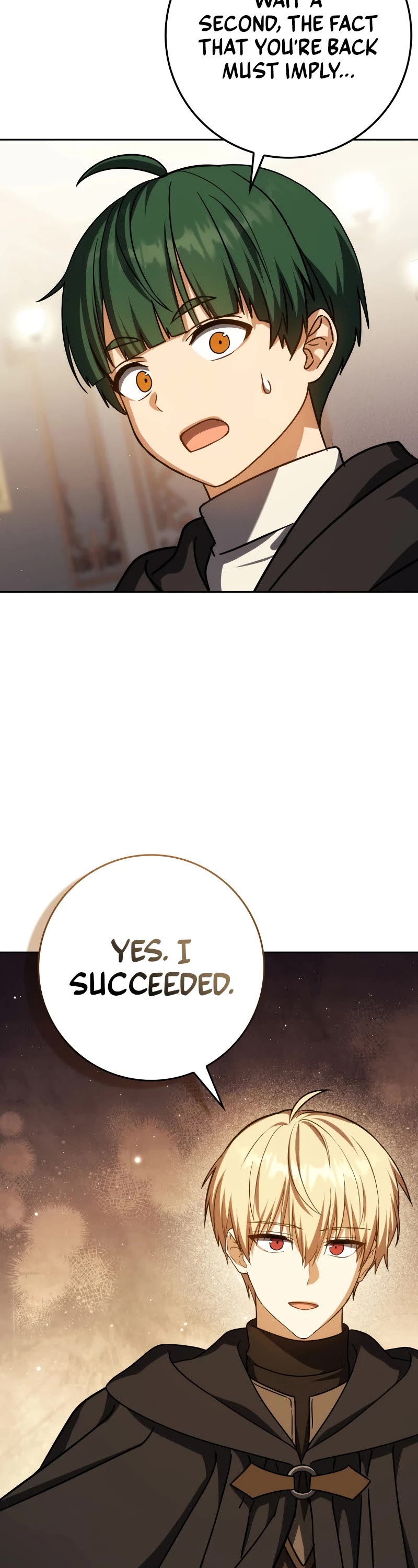 The Reincarnated Assassin is a Genius Swordsman Chapter 59 page 27 - Chapter 59