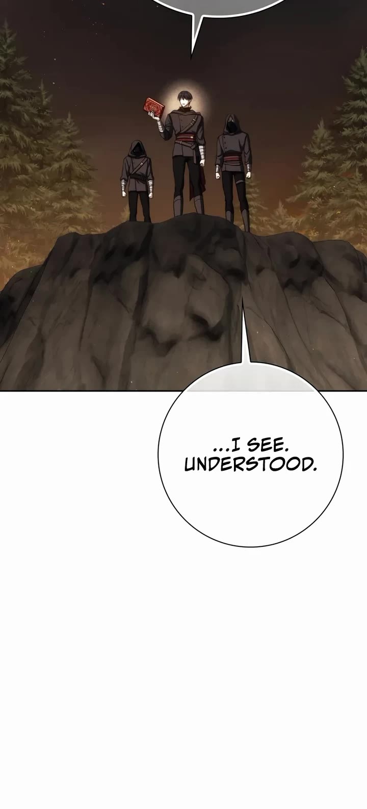 The Reincarnated Assassin is a Genius Swordsman Chapter 79 page 28 - Chapter 79