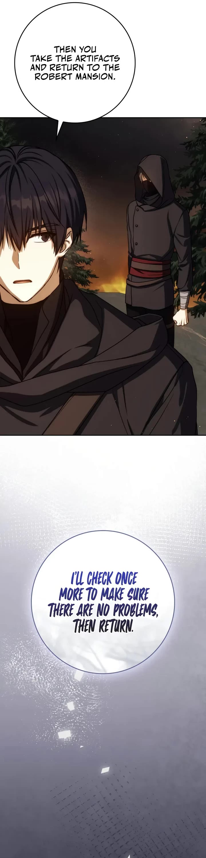 The Reincarnated Assassin is a Genius Swordsman Chapter 79 page 29 - Chapter 79