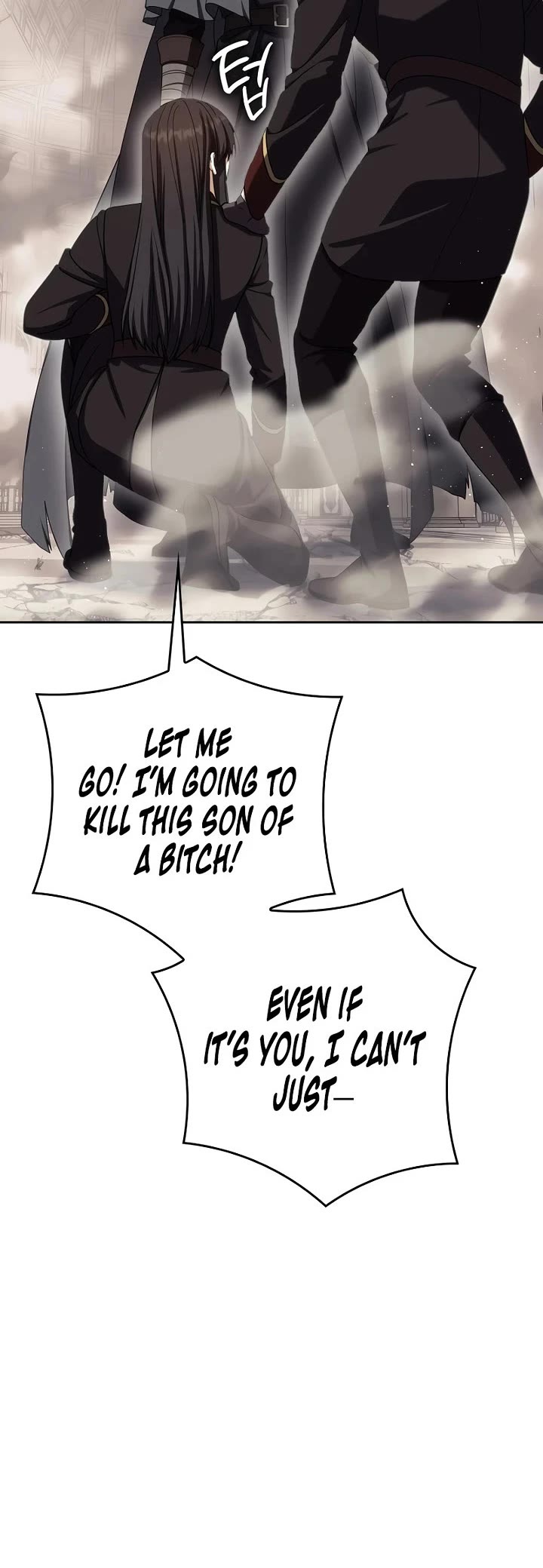 The Reincarnated Assassin is a Genius Swordsman Chapter 85 page 25 - Chapter 85