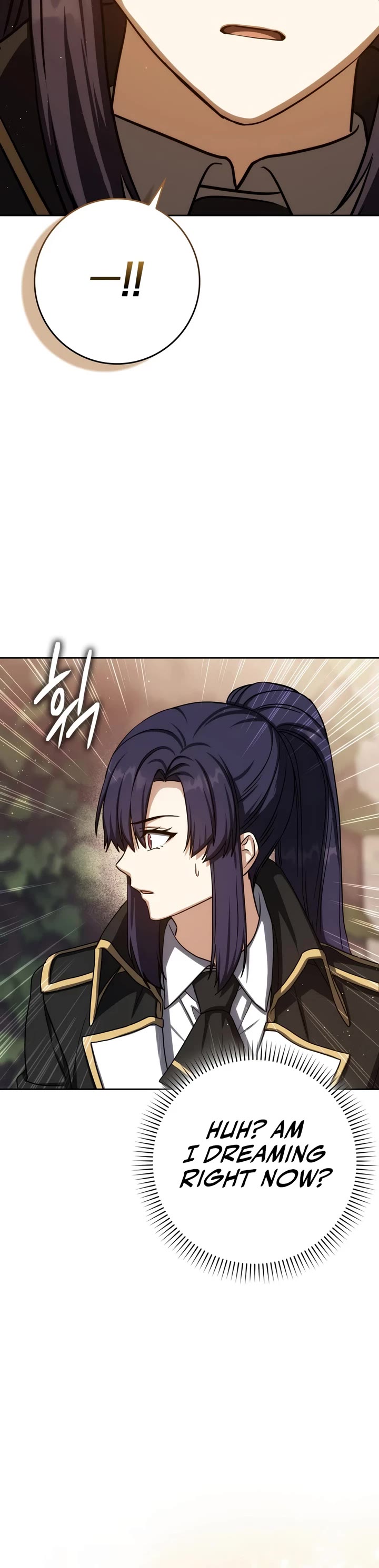The Reincarnated Assassin is a Genius Swordsman Chapter 90 page 16 - Chapter 90