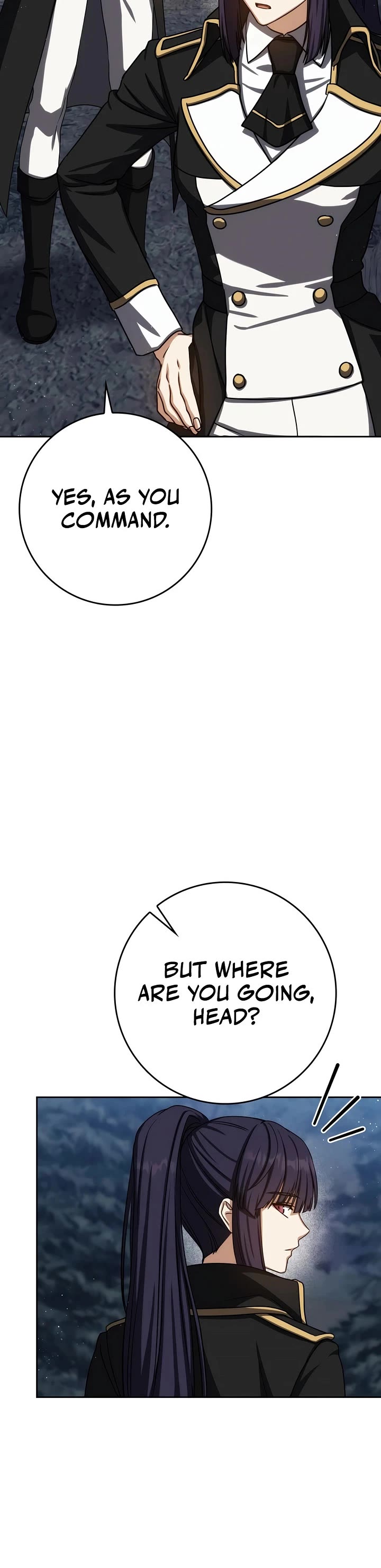 The Reincarnated Assassin is a Genius Swordsman Chapter 91 page 40 - Chapter 91