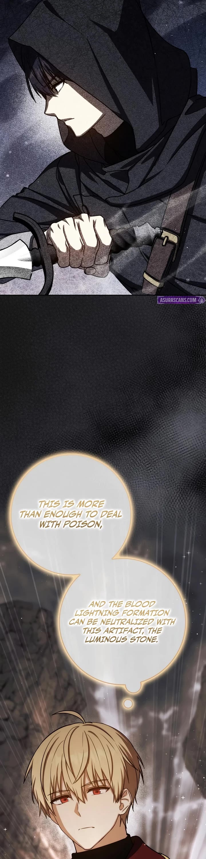 The Reincarnated Assassin is a Genius Swordsman Chapter 95 page 39 - Chapter 95