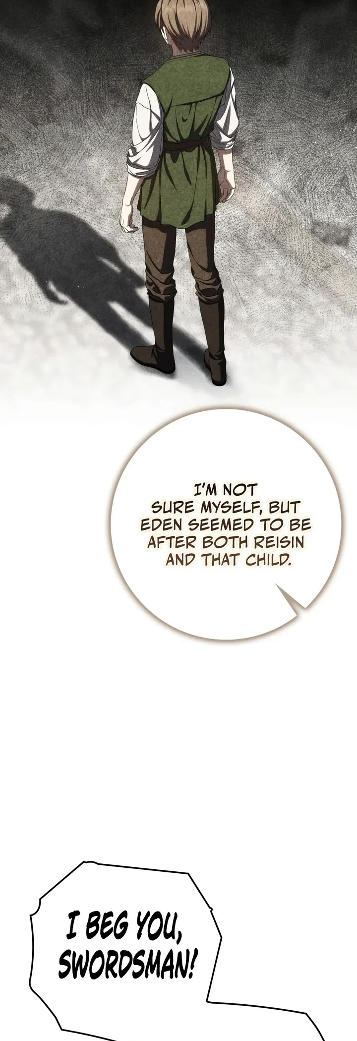 The Reincarnated Assassin is a Genius Swordsman Chapter 98 page 49 - Chapter 98
