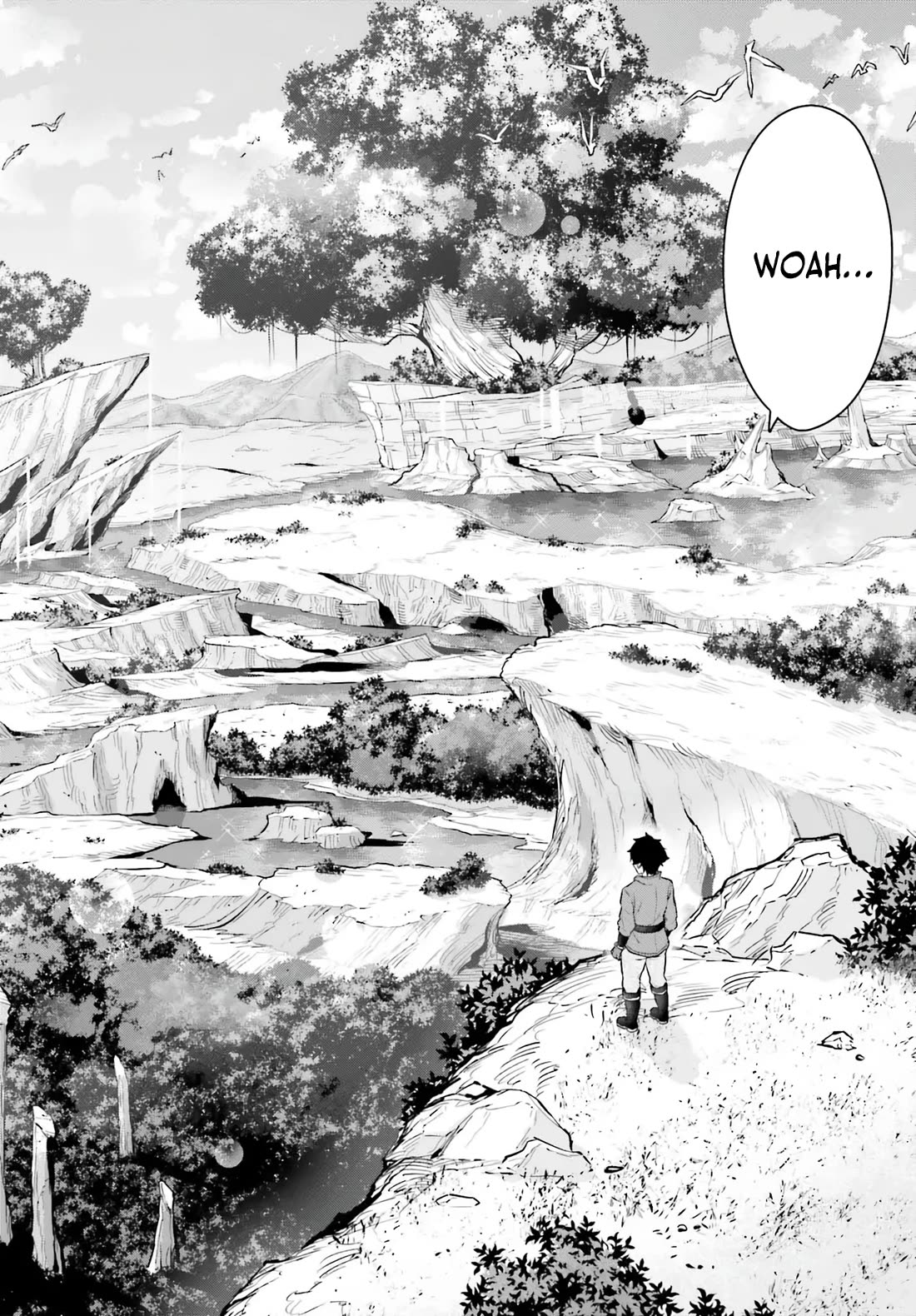 The Reincarnated Dimensional Mage Wants to Stand out While Keeping His Identity Hidden Chapter 1 page 16 - Chapter 1