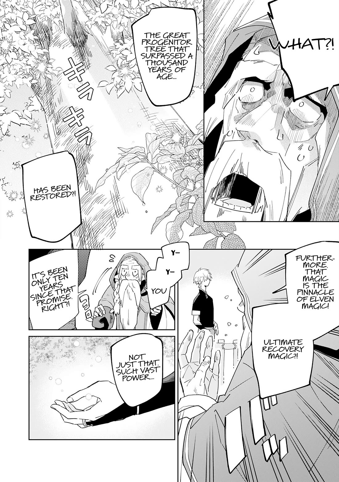 The Reincarnated Elf Left on a Journey to Master His Magic and With His Extra Lifespan Became a Living Legend Chapter 1 page 16 - Chapter 1