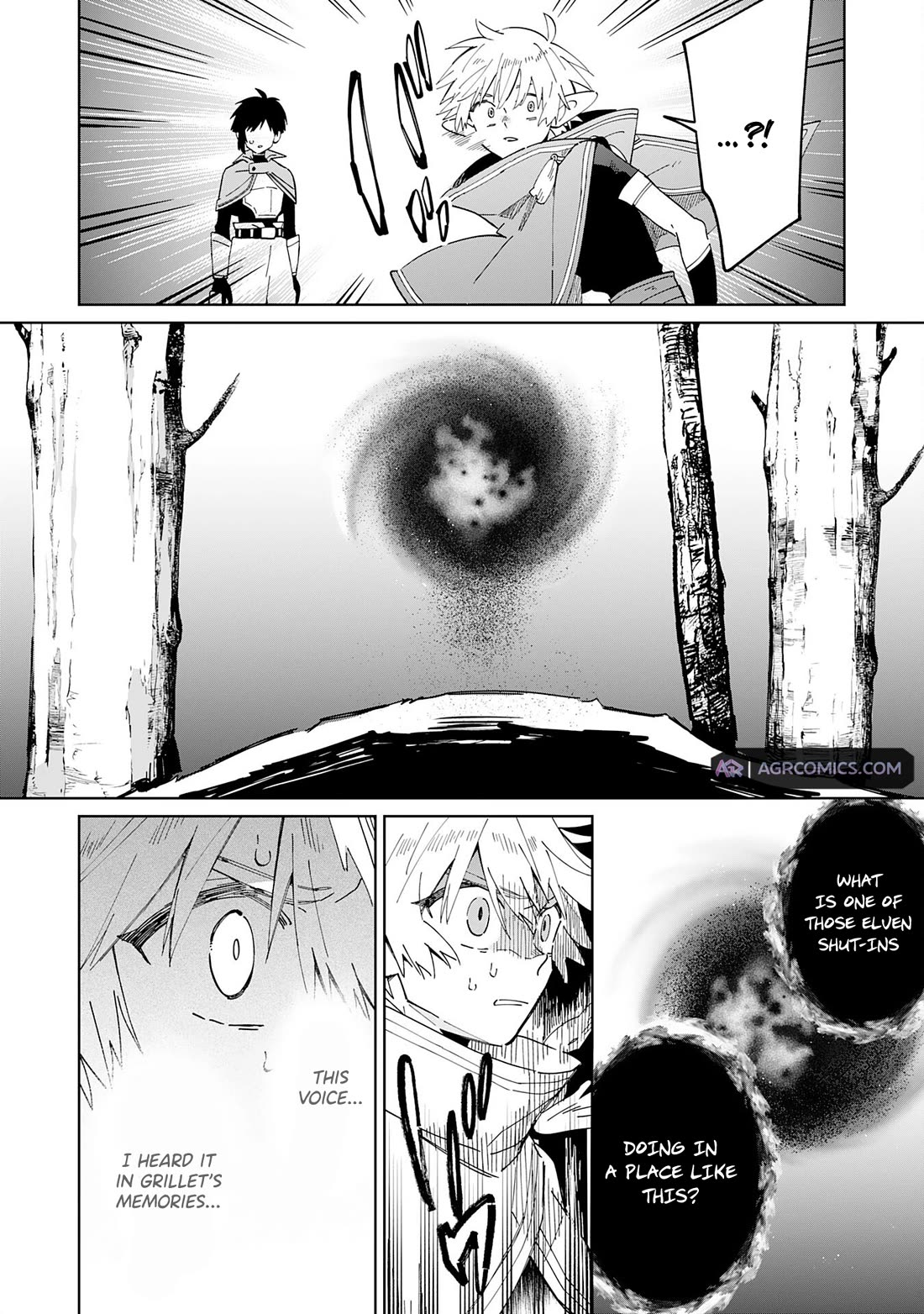 The Reincarnated Elf Left on a Journey to Master His Magic and With His Extra Lifespan Became a Living Legend Chapter 10 page 13 - Chapter 10