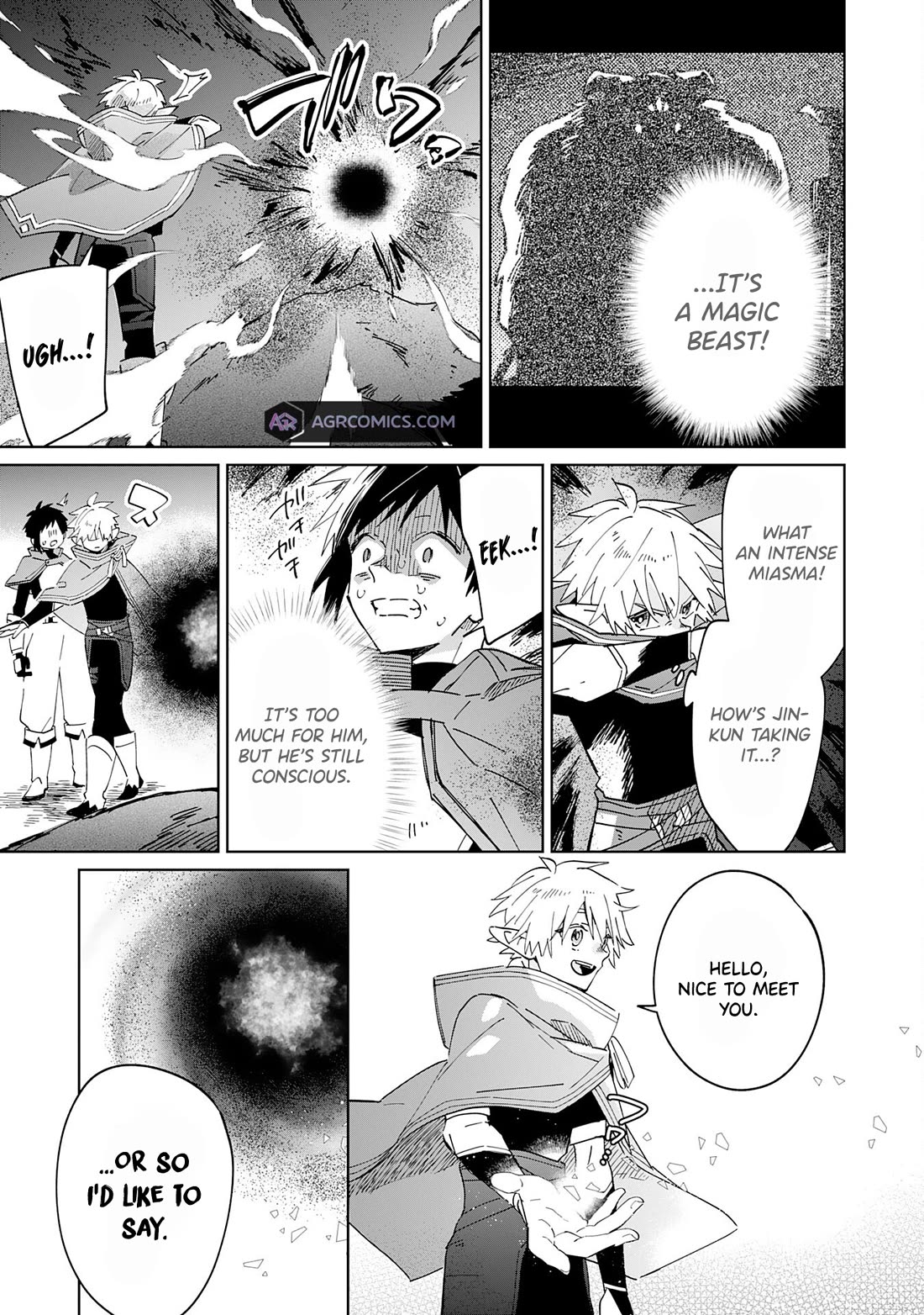 The Reincarnated Elf Left on a Journey to Master His Magic and With His Extra Lifespan Became a Living Legend Chapter 10 page 14 - Chapter 10