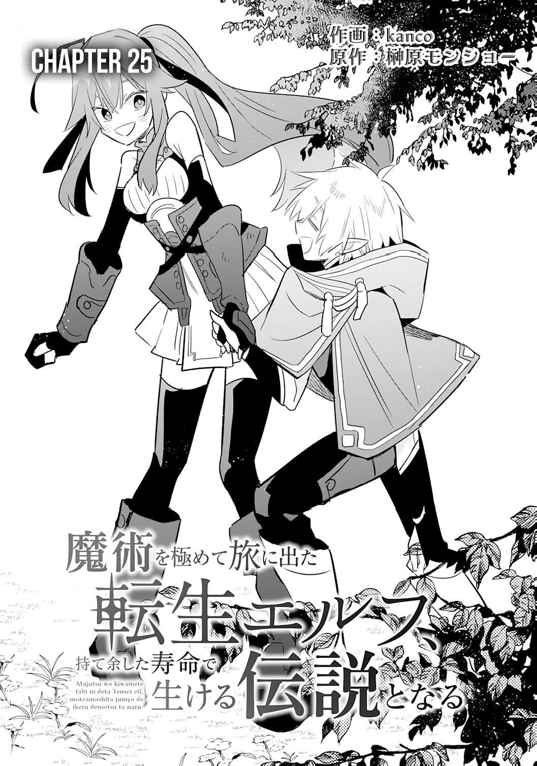 The Reincarnated Elf Left on a Journey to Master His Magic and With His Extra Lifespan Became a Living Legend Chapter 25 page 3 - Chapter 25