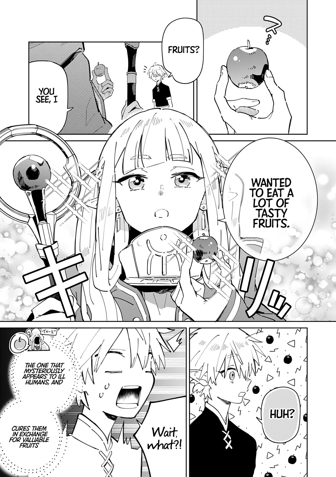 The Reincarnated Elf Left on a Journey to Master His Magic and With His Extra Lifespan Became a Living Legend Chapter 3 page 18 - Chapter 3