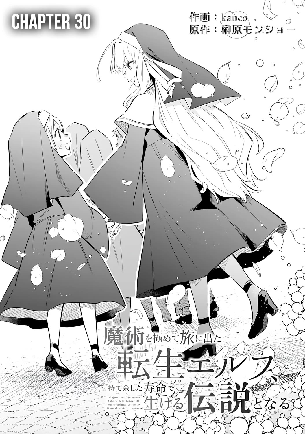 The Reincarnated Elf Left on a Journey to Master His Magic and With His Extra Lifespan Became a Living Legend Chapter 30 page 2 - Chapter 30