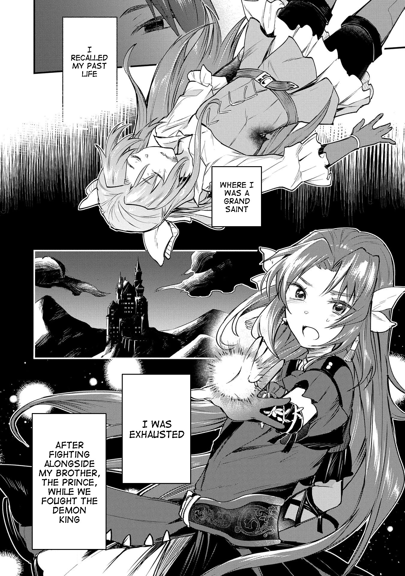 The Reincarnated Great Saint Hides That She's a Saint Chapter 1.1 page 27 - Chapter 1.1