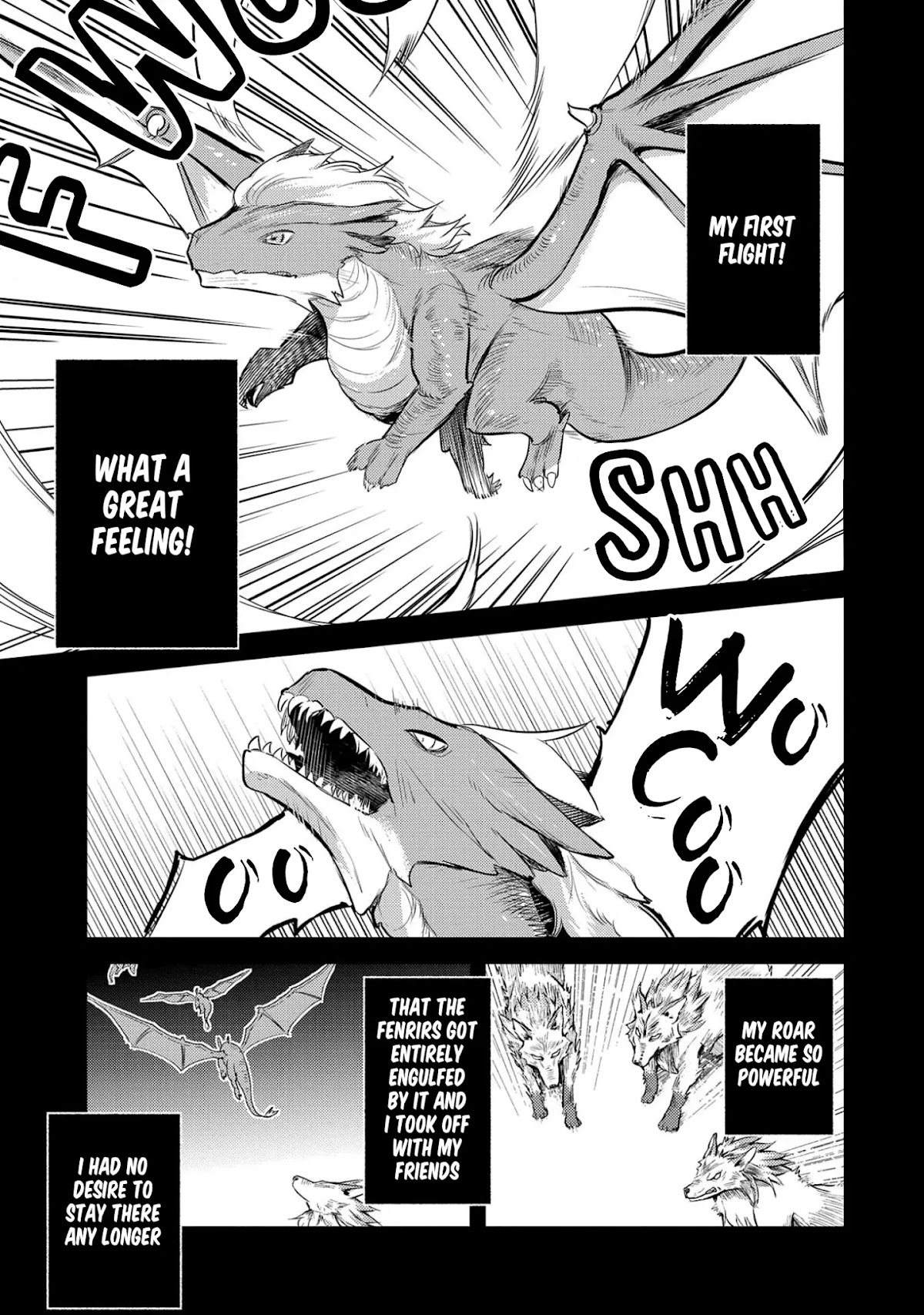 The Reincarnated Great Saint Hides That She's a Saint Chapter 14 page 19 - Chapter 14: Black Dragon Zabira - Part 1