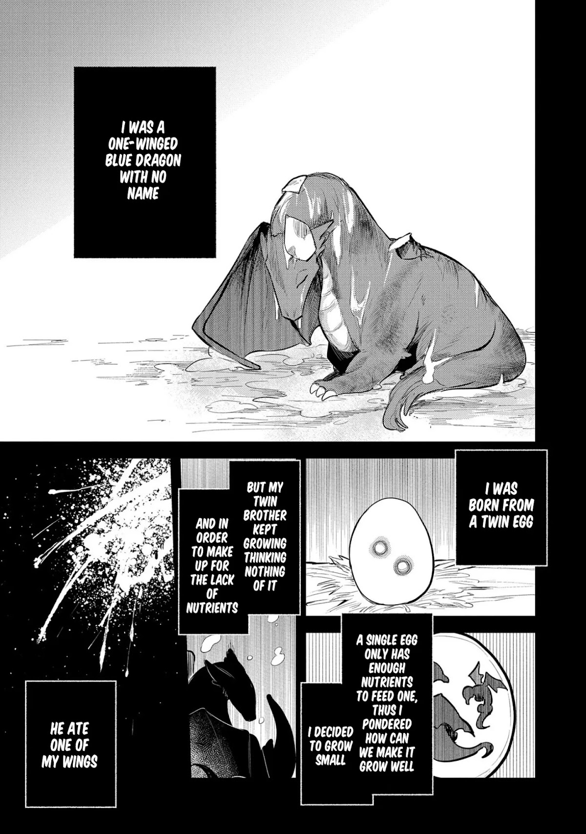 The Reincarnated Great Saint Hides That She's a Saint Chapter 14 page 3 - Chapter 14: Black Dragon Zabira - Part 1