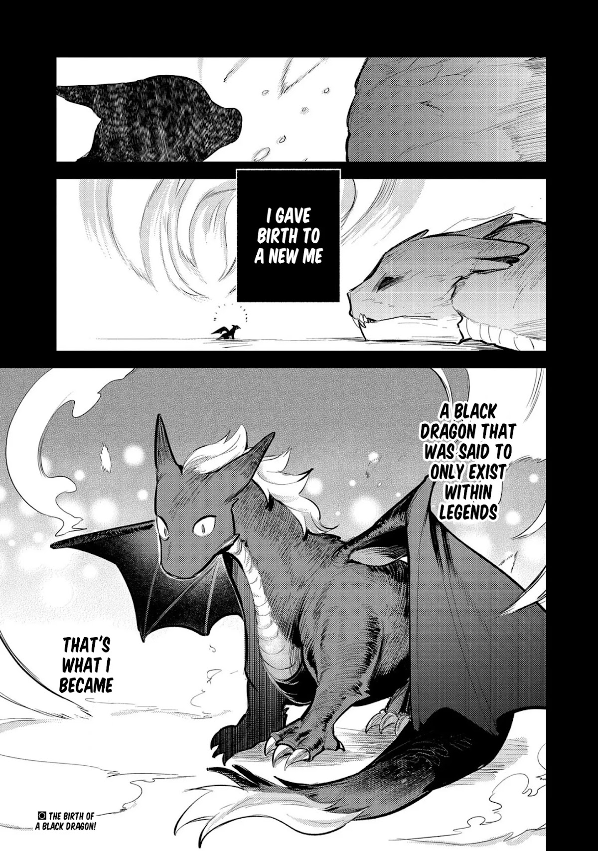 The Reincarnated Great Saint Hides That She's a Saint Chapter 14 page 31 - Chapter 14: Black Dragon Zabira - Part 1