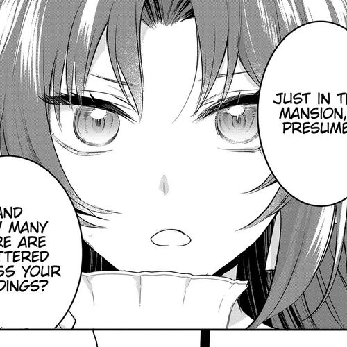 The Reincarnated Great Saint Hides That She's a Saint Chapter 40.5: Side Story: The Guard Captain's Arrangement cover