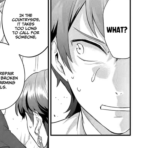 The Reincarnated Marriage of a Hero and a Sage: After Becoming Engaged to a Former Rival, We Became the Strongest Couple Chapter 17: Their capital each cover