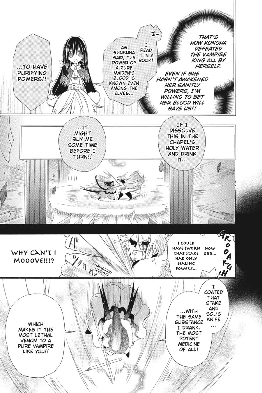 The Reincarnated Villainess' Dark History Chapter 17 page 13 - Chapter 17