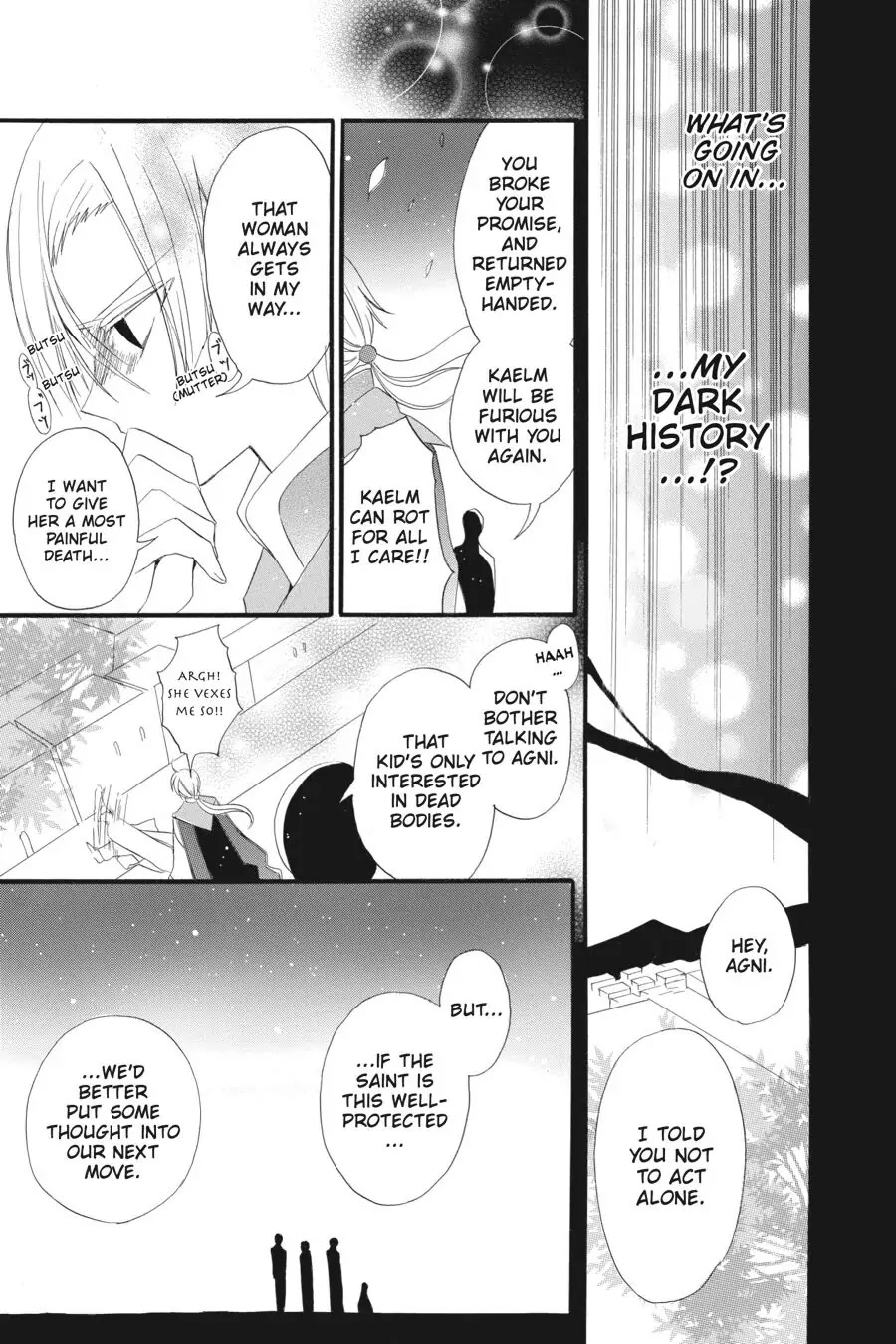 The Reincarnated Villainess' Dark History Chapter 17 page 27 - Chapter 17