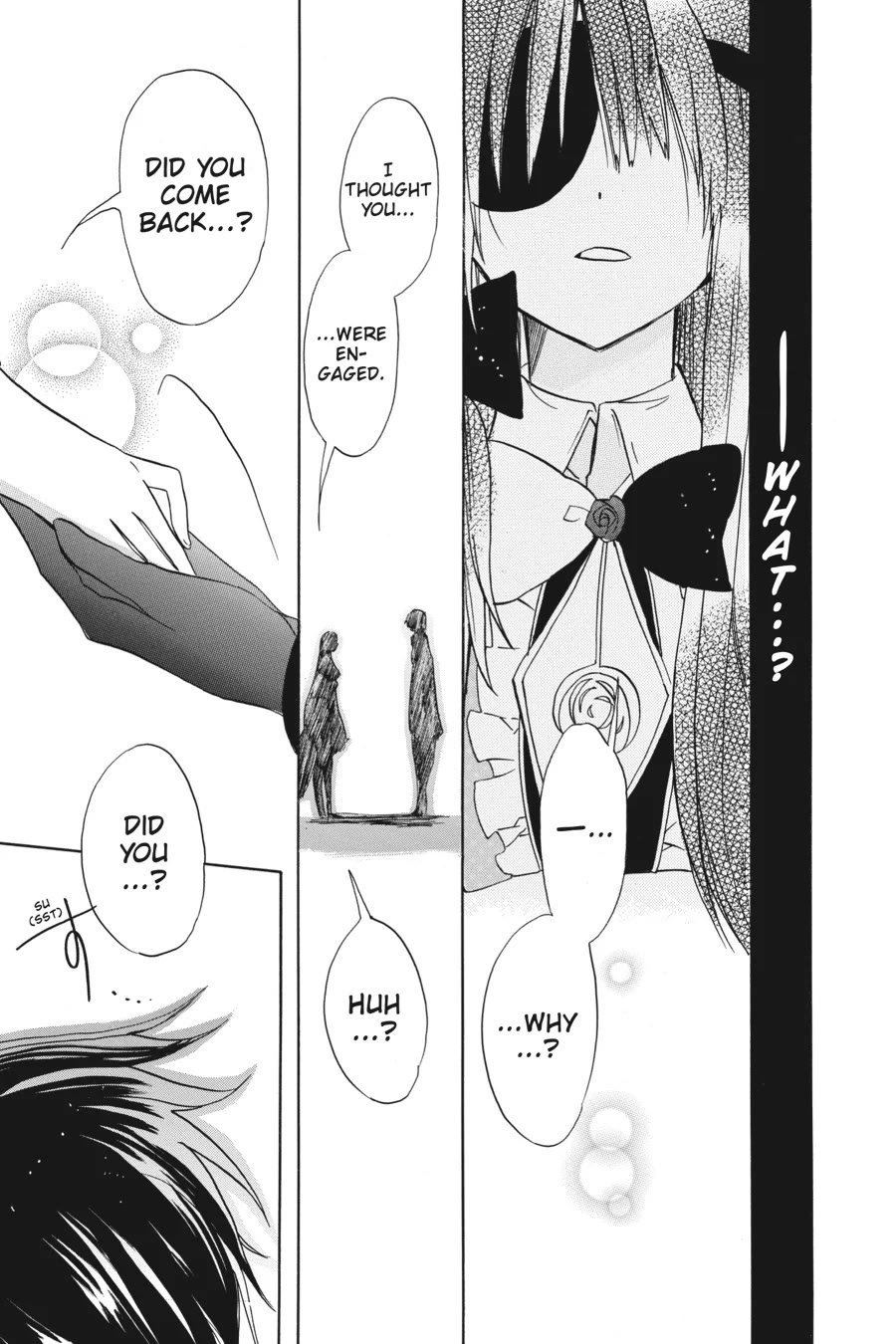 The Reincarnated Villainess' Dark History Chapter 49 page 25 - Chapter 49