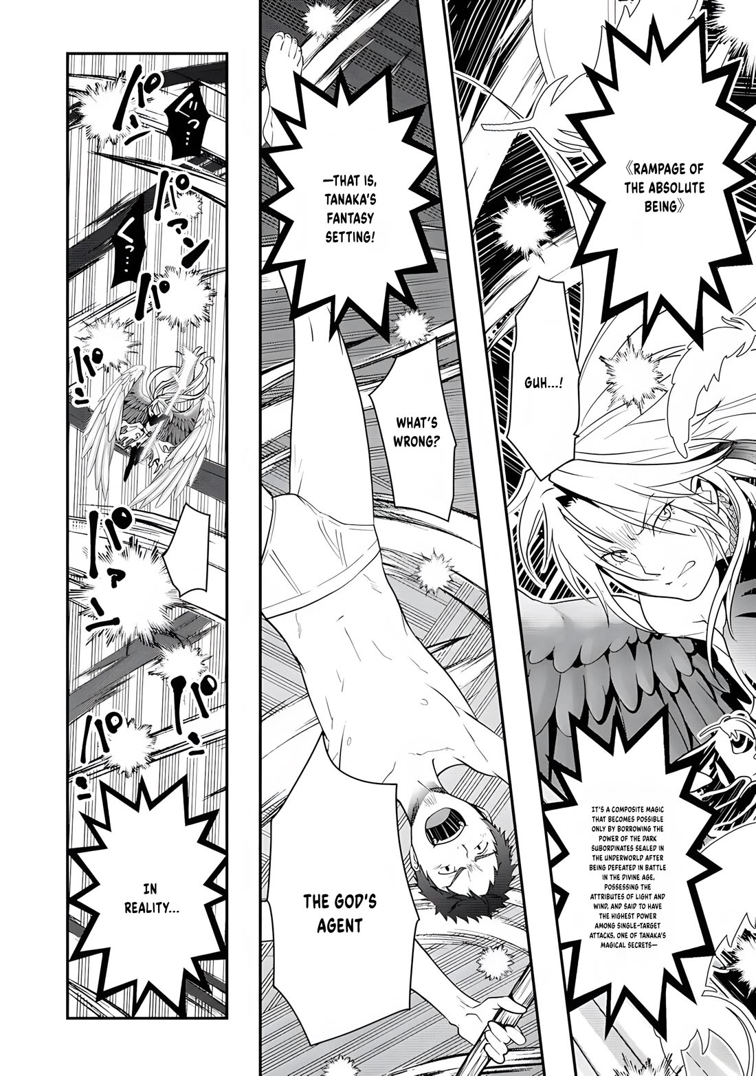 The Rise of Tanaka in Another World Chapter 15 page 13 - Chapter 15: Duel in the Azure Sky